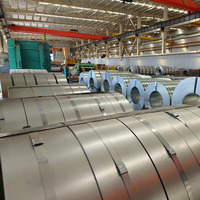 Vente directe d'usine à bas prix Dx51d Z120 Bobine d'acier galvanisé 0.3mm Bande d'acier galvanisé pour les matériaux
