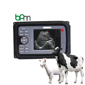Tıbbi dijital taşınabilir ultrason vet el inek gebelik testi için en iyi ev ultrason makinesi