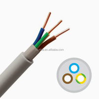 Kabel Tembaga Listrik BVV Berisolasi PVC dengan Selubung PVC, Bulat Padat Nym-J 3X1.5mm 3X2.5mm untuk Penggunaan Rumah Tangga, Bangunan & Industri