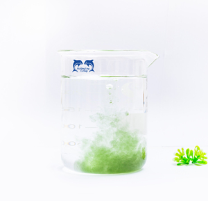 <span class=keywords><strong>Engrais</strong></span> Liquide Organique OEM <span class=keywords><strong>pour</strong></span> l'Enracinement des Pommes <span class=keywords><strong>de</strong></span> <span class=keywords><strong>Terre</strong></span>, Améliore le Système Racinaire et la Vitalité des Cultures - Product Image 2