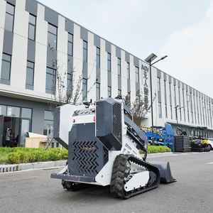 Miễn phí vận chuyển giá rẻ New nhỏ nhỏ nhỏ vườn loader bánh xe/theo dõi theo dõi <span class=keywords><strong>mini</strong></span> Skid chỉ đạo Bộ nạp - Product Image 4