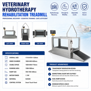 Cinta de correr subacuática para rehabilitación canina de perros grandes, para recuperación de LCA, hidroterapia y rehabilitación veterinaria. En oferta. - Product Image 5