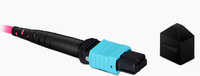 Tali Kekang Tambalan Serat Optik 1M MPO MTP Pria Wanita Ke LC UPC 12C 12 Core OM3 OM4 Mode Tunggal SM PVC LSZH 0.9Mm 2.0Mm 3.0Mm