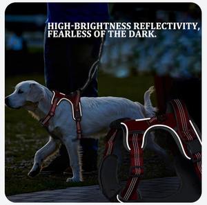 Arnés para Perro Ajustable y <span class=keywords><strong>Reflectante</strong></span> para Seguridad Nocturna, Anti-Tirones, Personalizado, con Asa - Product Image 2