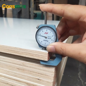 Lámina de Contrachapado Laminado con <span class=keywords><strong>Melamina</strong></span> de Color Blanco de 18 mm, 1220 mm*2440 mm - Product Image 6