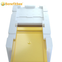 Imkerei liefert Schaum bienenstock Bee Queen Paarungs box