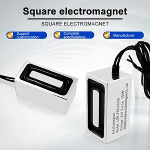Elektromagnet persegi panjang LSD-P40/20/20 Magnet listrik IP65 pengisap Solenoid elektromagnetik kumparan Magnet kumparan berliku