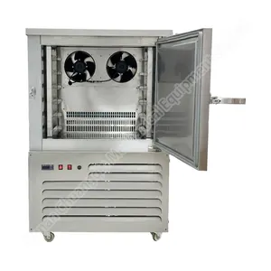 Plasma blast freezer iqf freezer for berries liquid nitrogen quick freezer small