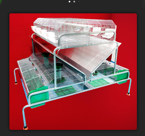 Gabbia per Conigli Facile da Pulire in Kenya con Vassoi in Plastica - Product Image 5