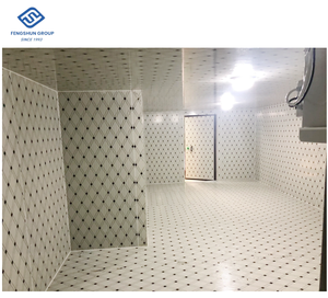 <span class=keywords><strong>Chambre</strong></span> <span class=keywords><strong>froide</strong></span> professionnelle d'<span class=keywords><strong>occasion</strong></span> pour la conservation du poisson et de la viande - Product Image 6