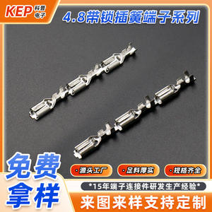 Borne de raccordement rapide à sertir Kep 4,8 mm avec ressort de verrouillage et inserts mâle/femelle, 187 bornes en laiton - Product Image 1