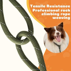 Laisse de chien tressée tactique avec poignée pivotante durable pour l'escalade en montagne, laisse de chien à glissière avec fermoir robuste - Product Image 5