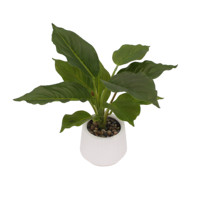 Plantes artificielles en plastique pour la vente directe en usine, plus réalistes, décoration d'intérieur, plante de bureau, simulation de plante verte, NOUVELLES ARRIVÉES