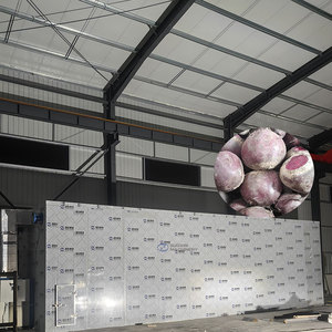 Large Capacity Trays Vegetables Dryer <b>Machine</b> Beet Drying <b>Machine</b> Beetroot Dryer <b>Machine</b> - Product Image 1