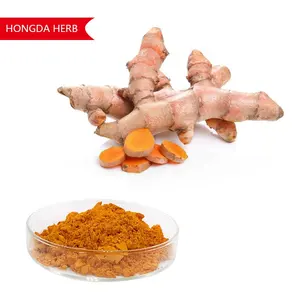 Hongda USP Curcumin özütleme tesisi Curcumin özü % 95%