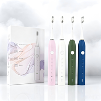 Brosse à dents électrique intelligente USB de haute qualité pour le blanchiment et l'hygiène bucco-dentaire, idéale pour les marques (vente en gros)