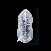 Film de protection gonflable antichoc pour flacons de parfum et cosmétiques – Vente directe usine pour l'emballage logistique