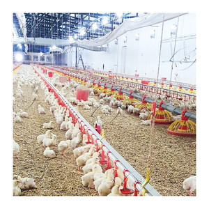 Granja <span class=keywords><strong>de</strong></span> pollos para aves, precio <span class=keywords><strong>de</strong></span> pila, a la <span class=keywords><strong>venta</strong></span> <span class=keywords><strong>en</strong></span> Dinamarca e Indonesia - Product Image 3