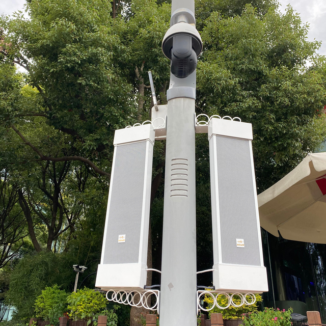 SIP Hanging Speaker OEM Factory Supplier School Public Broadcast System Big Power Speaker Ip Poe Column Speaker White Color