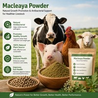 Poudre d'extrait de racine de Macleaya Cordata naturelle à base de plantes, rapport 10:1, poudre fine pure (80-120 Mesh), qualité alimentaire en vrac