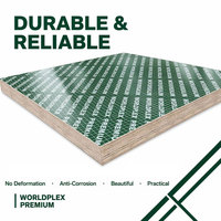 Tablero de Contrachapado Fenólico Verde con Revestimiento de PP, 1220X2440mm 2800X2070mm, Duradero y Resistente a la Corrosión para Construcción, ¡Gran Venta!