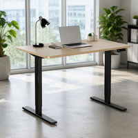 Bureau électrique réglable pour la maison et le bureau, double moteur, assis-debout, avec structure en acier, design moderne