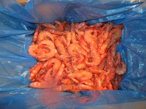 Proveedor de China, venta al por mayor de <span class=keywords><strong>mariscos</strong></span>, <span class=keywords><strong>camarones</strong></span> Vannamei cocidos congelados - Product Image 4