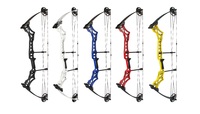 Junxing tir à l'arc nouveau design chasse arc à poulies M108 vente d'usine