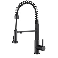 Robinet Mitigeur Monocommande Extensible à Rotation 360° CUPC Noir Mat pour Évier de Cuisine