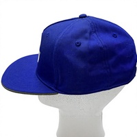 Casquette de baseball en coton 100% avec broderie de logo personnalisé, multicolores, fermeture à boucle métallique réglable, unisexe, adulte, toutes saisons