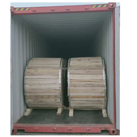 Conductor de cobre desnudo trenzado concéntrico Lay # 300MCM Precio