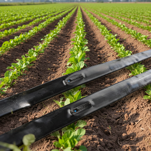 Système d'irrigation goutte à goutte agricole pour 1 hectare, avec goutteurs en PE et tuyaux <span class=keywords><strong>de</strong></span> goutte à goutte roulants, pour serres, débit 2-3L/H, 16mm - Product Image 1