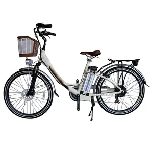 2020 लोकप्रिय 250W 36 V 26 इंच अनुकूलित ई बाइक साझा इलेक्ट्रिक बाइक साइकिल पेडल की सहायता बिजली साइकिल