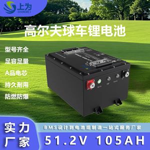 Batterie de chariot de golf Lifepo4 51.2V 105Ah, type liquide, pour usage extérieur - Product Image 4