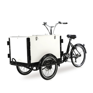 Vélo <span class=keywords><strong>cargo</strong></span> Portable de <span class=keywords><strong>petit</strong></span> budget, standard européen sans taxes pour la famille, transport de dernier mile, livraison assistée électrique - Product Image 1
