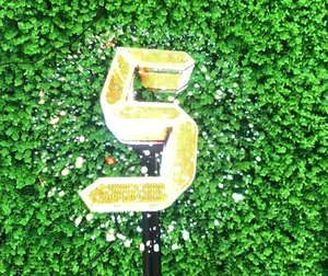 Ventilador holográfico 3D de ojo desnudo, pantalla de publicidad, fuente de alimentación móvil, puerto de cinta C, suspensión, imagen estéreo, mini modelo de escritorio - Product Image 1