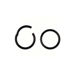 Anneau segmenté articulé en titane poli uni pour <span class=keywords><strong>piercing</strong></span> corporel, vente en gros - Product Image 6