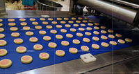 Machine industrielle de formage de biscuits bicolores, extrudeuse à fil haute vitesse, déposeuse, ligne de production de boulangerie