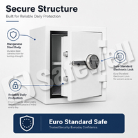 Caja Fuerte Safewell, Protección Diaria Confiable, Estándar Europeo, para Artículos Importantes Residenciales y Comerciales, para Mantener un Suministro a Granel