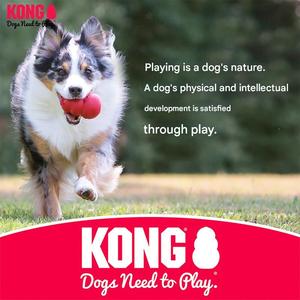 KONG Köpek Döner Oyuncağı - Dayanıklı, Diş Gıcırdatma Oyuncağı, Eğlence, Küçük Köpekler İçin, Dış Mekan Eğitimi Border Collie Özel Döner Oyuncak - Product Image 6