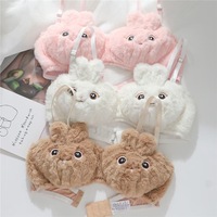 Ensemble soutien-gorge et culotte sexy à imprimé animal, style japonais, doux et moelleux pour l'hiver, motif lapin de dessin animé mignon, lingerie fine sans armatures pour étudiantes