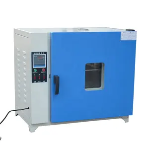 Lab Electric Heating Blast Drying Oven