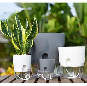 Vasos de flores transparentes, vasos para plantas de algodão absorvente, para área interna