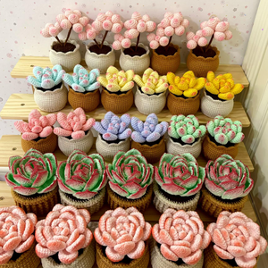 Maceta de Suculentas Tejida a Crochet, Linda y Hecha a Mano, Mini Planta Artificial de Alta Calidad para Decoración de Escritorio, Regalos para el Día de la Madre y de Inauguración de Casa - Product Image 1