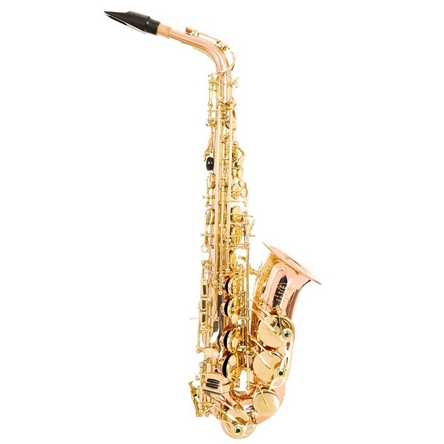 Professional Performance for Beginners E-flat Alto Saxophone with Gold Lacquer Finish EB Tone Dual Mouthpieces