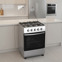 Cuisinière à gaz et électrique autonome de 20 pouces à grande capacité avec 4 brûleurs et four, facile à nettoyer, multifonctionnelle pour le jardin et l'utilisation en camping-car