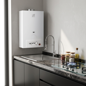 Calentador de Agua a Gas Natural de 12L (10L de Capacidad) Montado en Pared con Sistema de Escape por Chimenea para Suministro de Agua Caliente Residencial - Product Image 1