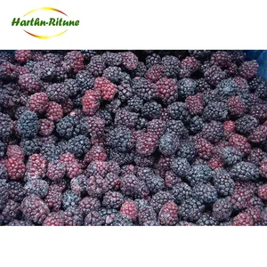 New Harvest Crop Low Price IQF Berries Blackberry Fruit