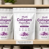 OEM & ODM Premium-Qualität Multi-Kollagen-Peptide Biotin Vitamin C & Hyaluronsäure-Pulver Natürliche Inhaltsstoffe