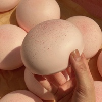 Vente en gros de Squishies en mousse PU de haute qualité de 11 cm, Squishies en forme de pain à remontée lente, Squishies alimentaires pour le soulagement du stress